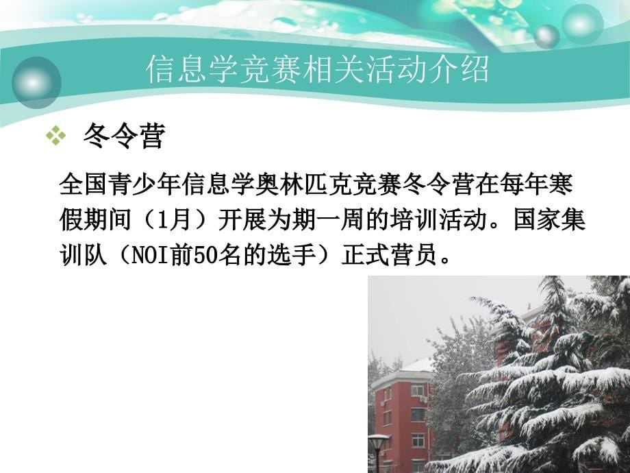 高一信息学竞赛班noip赛前冲刺培训课件：基础理论知识_第5页