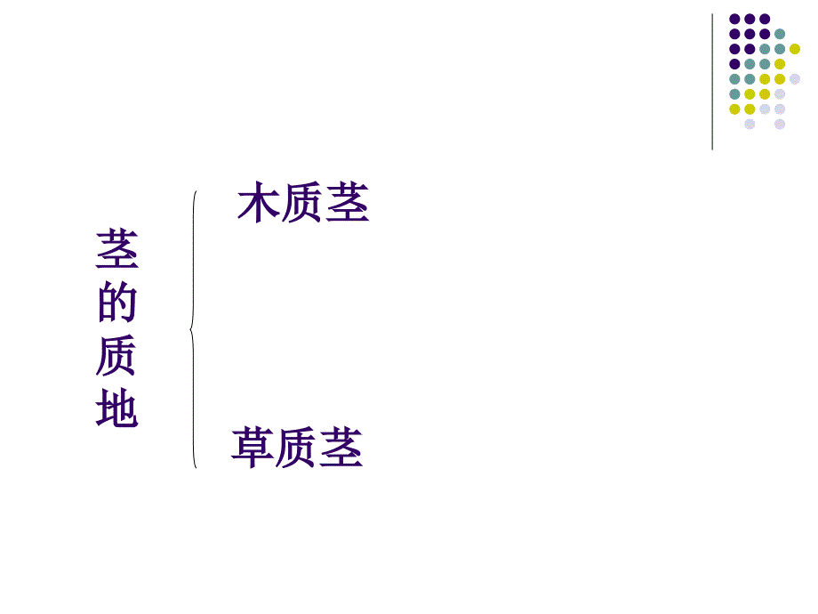 首师大小学科学四上《7.各种各样的茎》PPT课件_第3页