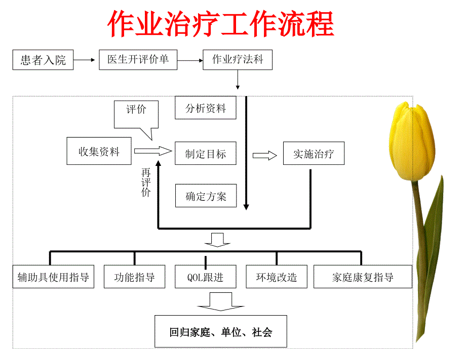 作业治疗28412_第3页