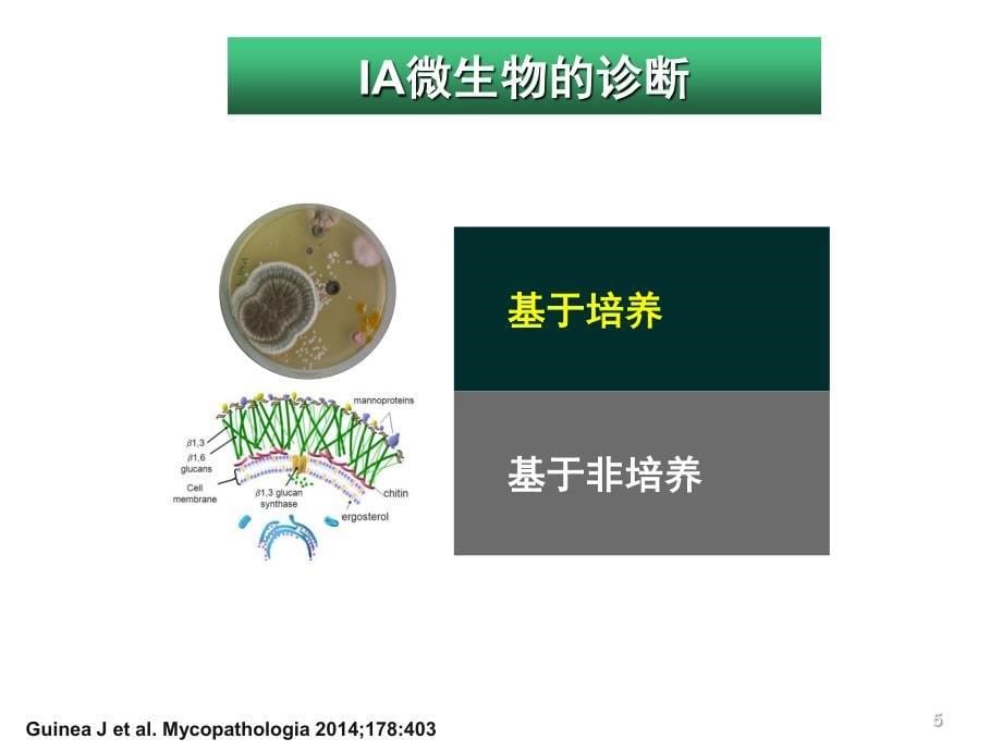 侵袭性曲霉病诊断比较-曾军_第5页