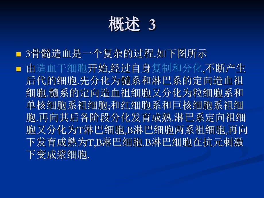 骨髓血液细胞诊断图谱【正常骨髓象】_第5页