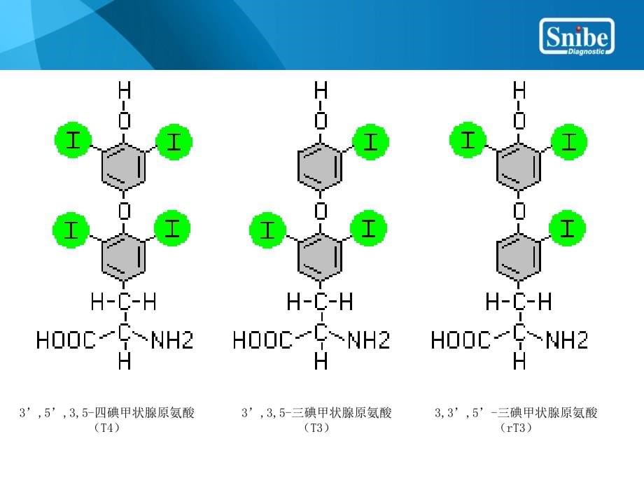 甲状腺疾病血清学检测临床应用-图文_第5页