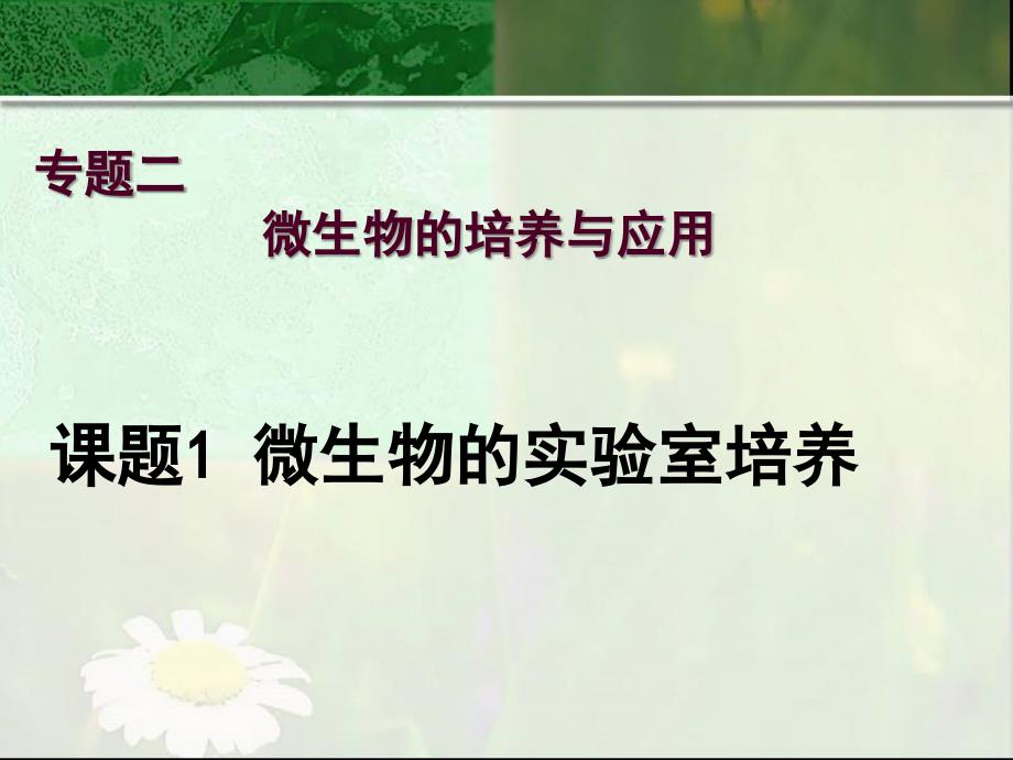 《微生物实验室培养》集体备课展示_第1页