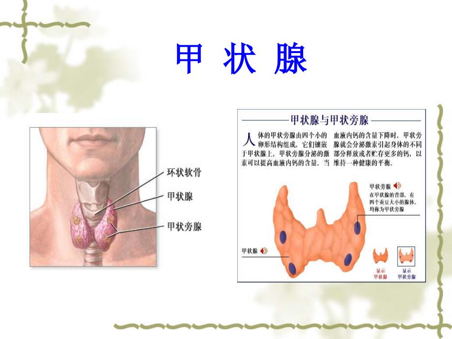 甲状腺疾病外科治疗体会_医学_第2页