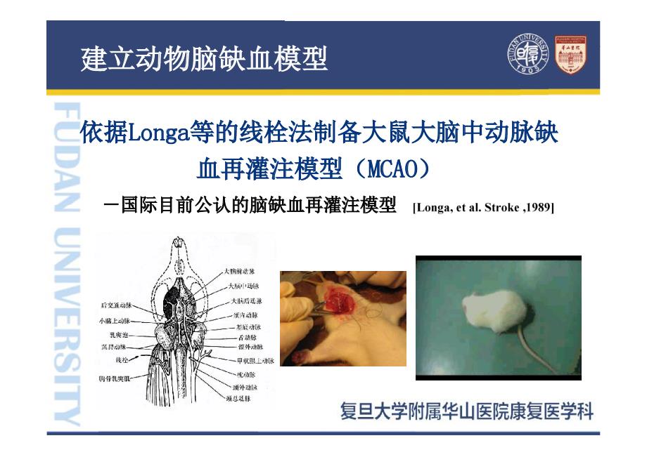 精准医学在康复医学中应用_第4页