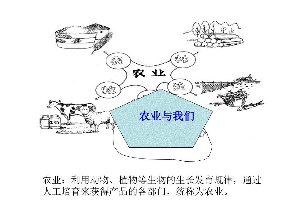 八年级地理上：中国经济与文化复习题_第3页