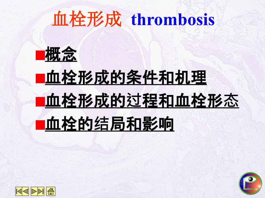 血栓形成原理阐述_第1页