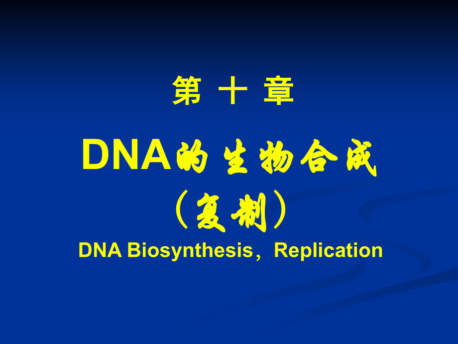 dna生物合成-复旦大学生物化学课件_第1页