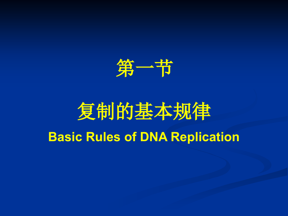 dna生物合成-复旦大学生物化学课件_第3页