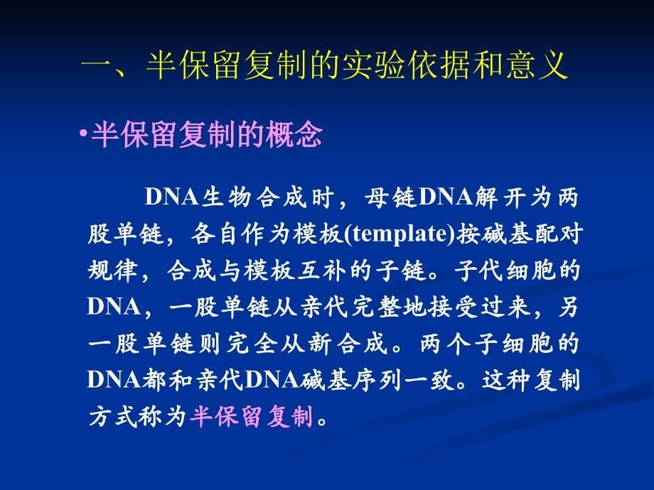 dna生物合成-复旦大学生物化学课件_第5页