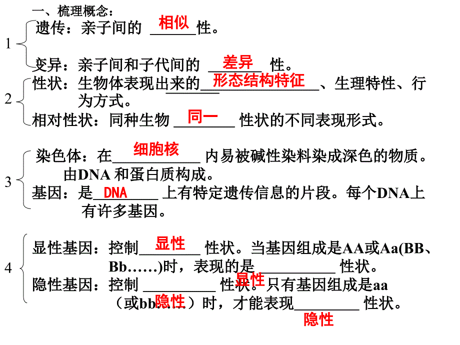 初中生物《生物遗传和变异》复习课_第3页