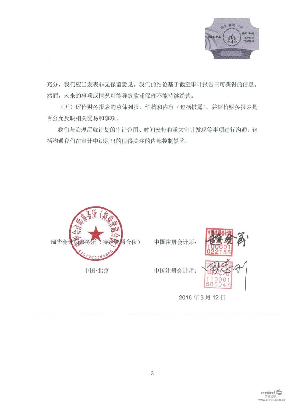 中泰化学：上海欣浦商业保理有限公司审计报告_第4页
