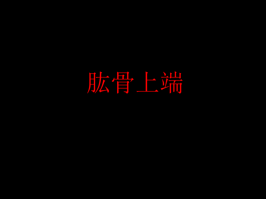 肱骨上端_第1页