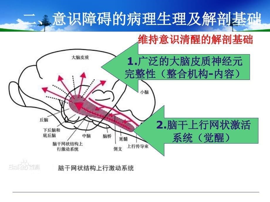 意识障碍诊断、鉴别诊断及处理_第5页