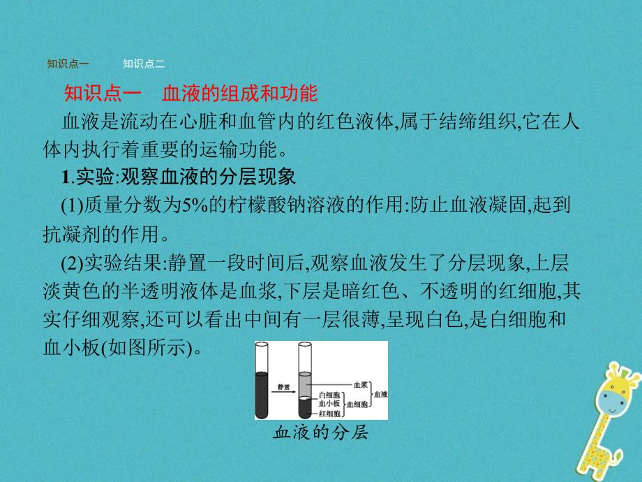 2017-2018学年七年级生物下册 3.3.1物质运输的载体课件 （新版）济南版_第2页