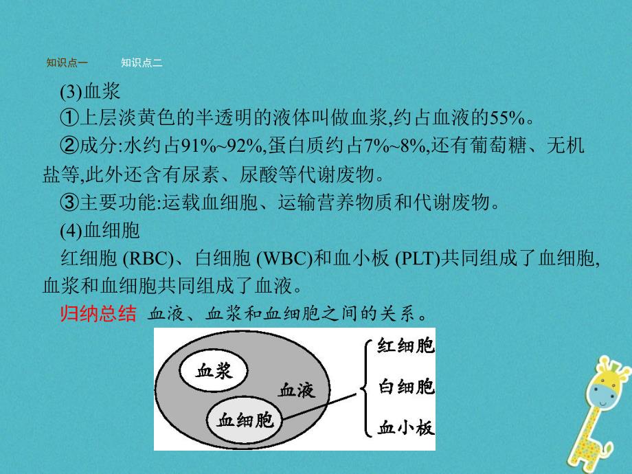 2017-2018学年七年级生物下册 3.3.1物质运输的载体课件 （新版）济南版_第4页