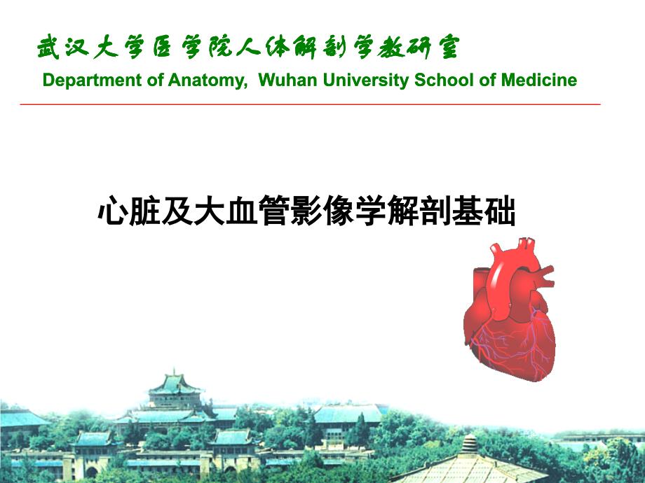 心脏影像学解剖学基础_第1页
