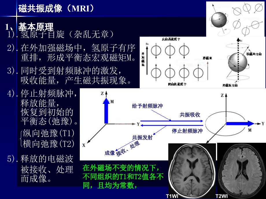 心脏影像学解剖学基础_第4页