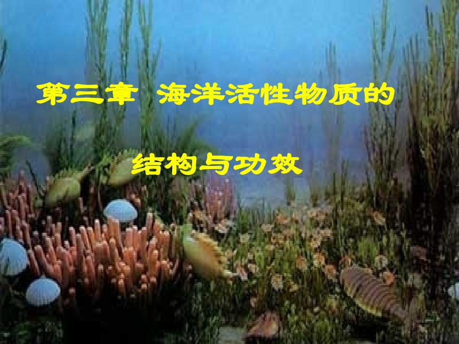 海洋生物活性物质-活性多糖_第1页