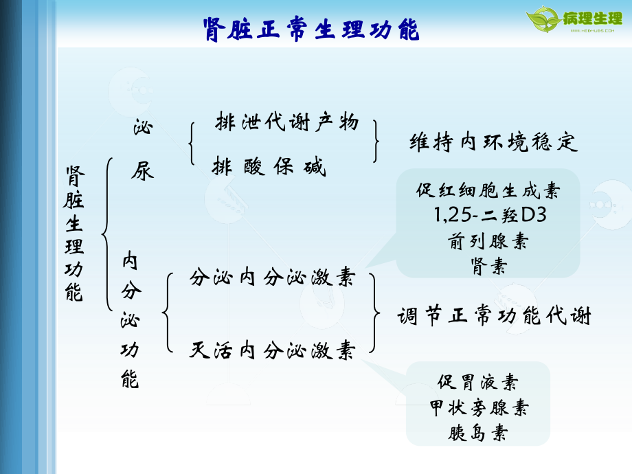 肾衰_预防医学_医药卫生_专业资料_第3页