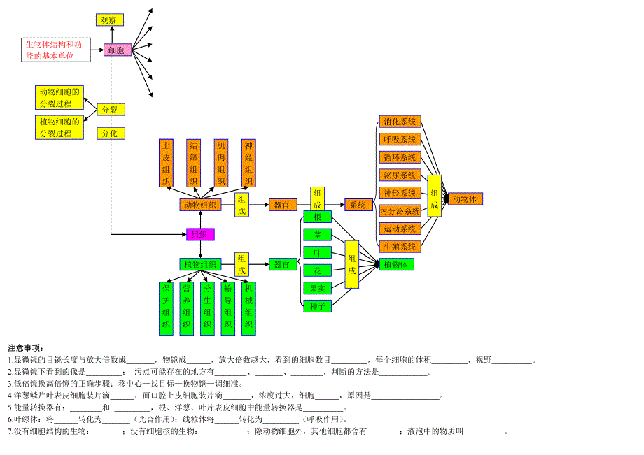 初中生物知识点结构网络图_第2页