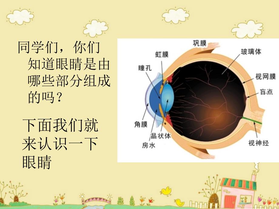 小学生健康教育._第3页