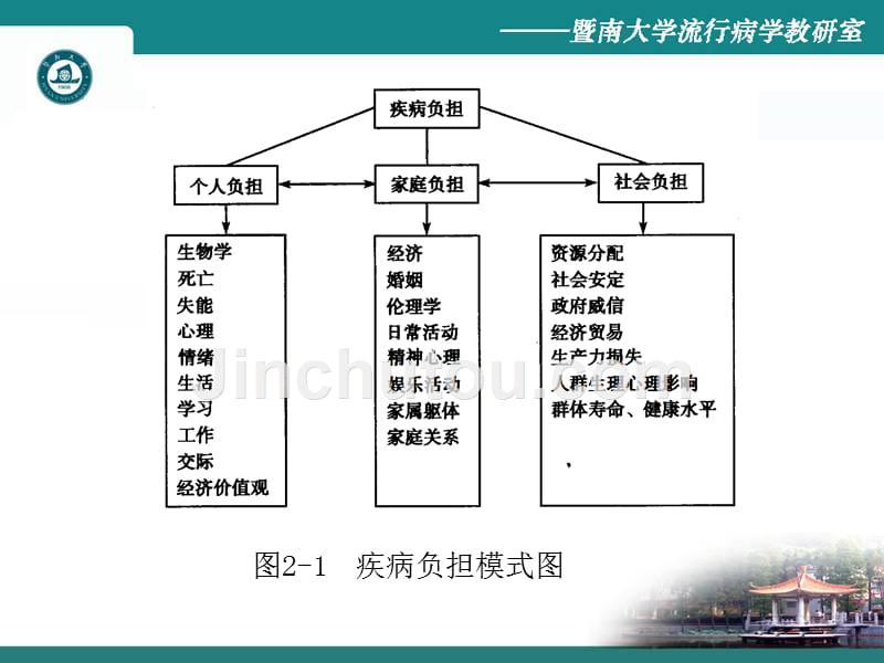 疾病负担与临床研究重点确定_第4页