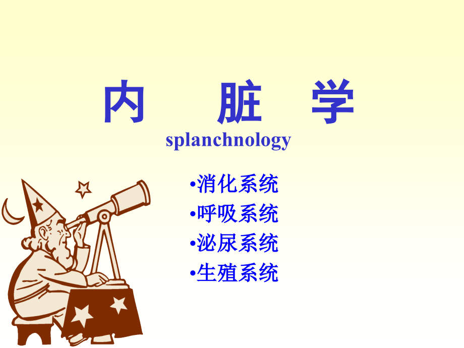 解剖学   消化系统  第一章  消化管_第1页