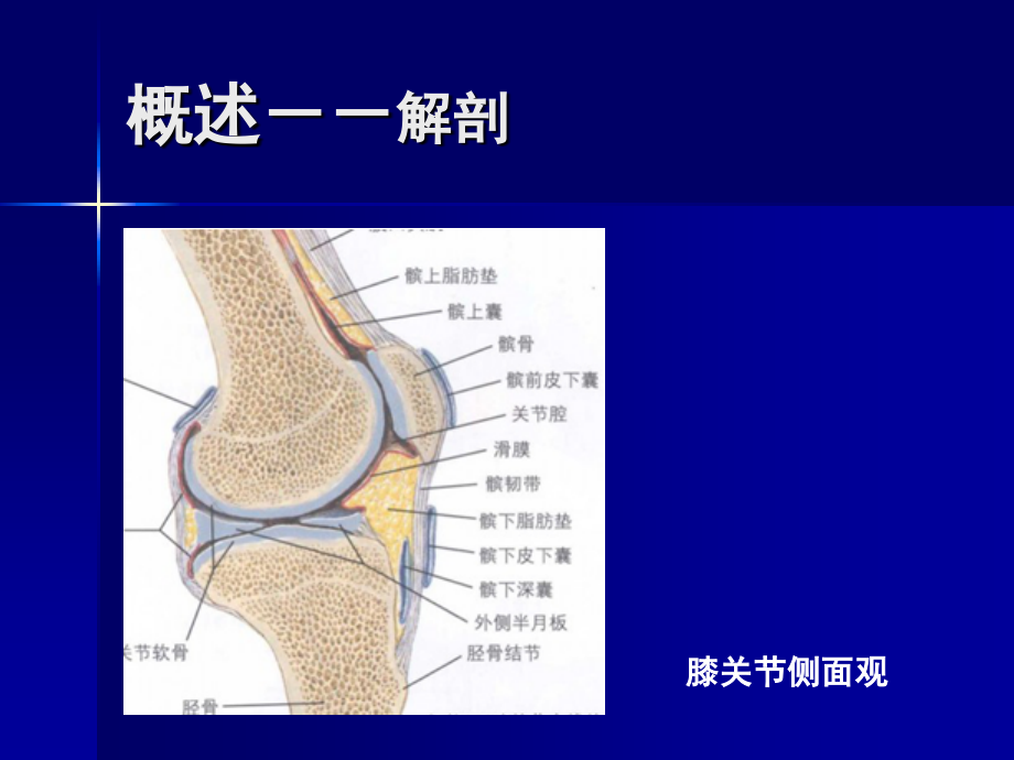 膝关节滑膜炎的诊断与治疗(徐俊)_第2页