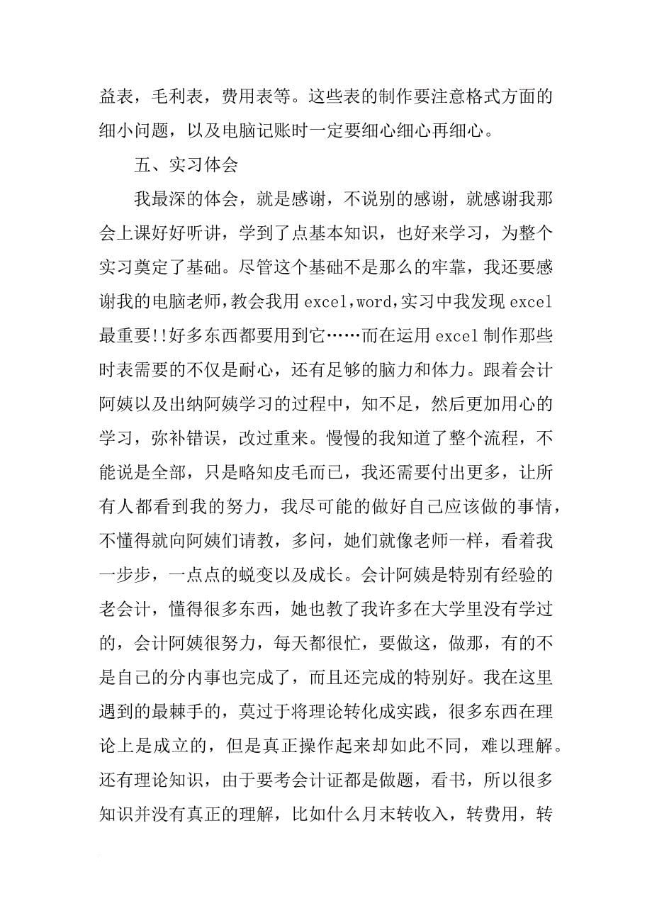 暑期会计实习报告1000字_第5页