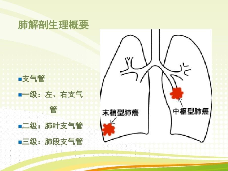 肺癌病人的护理ppt课件_第5页