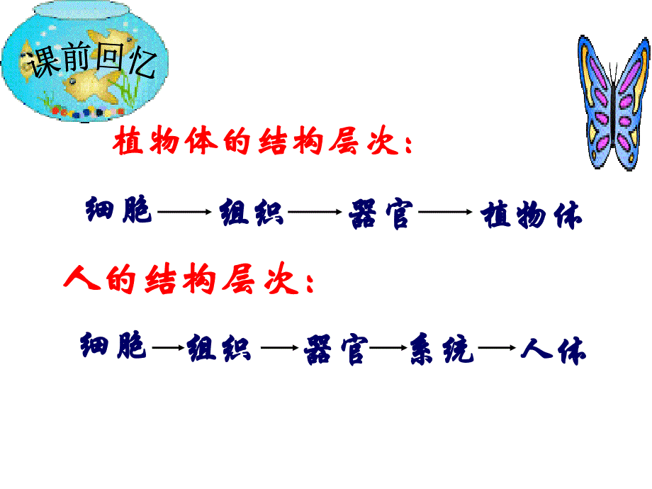 人教版生物 单细胞生物_第3页