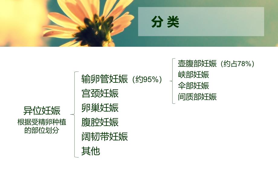 异位妊娠护理查房59377_第3页