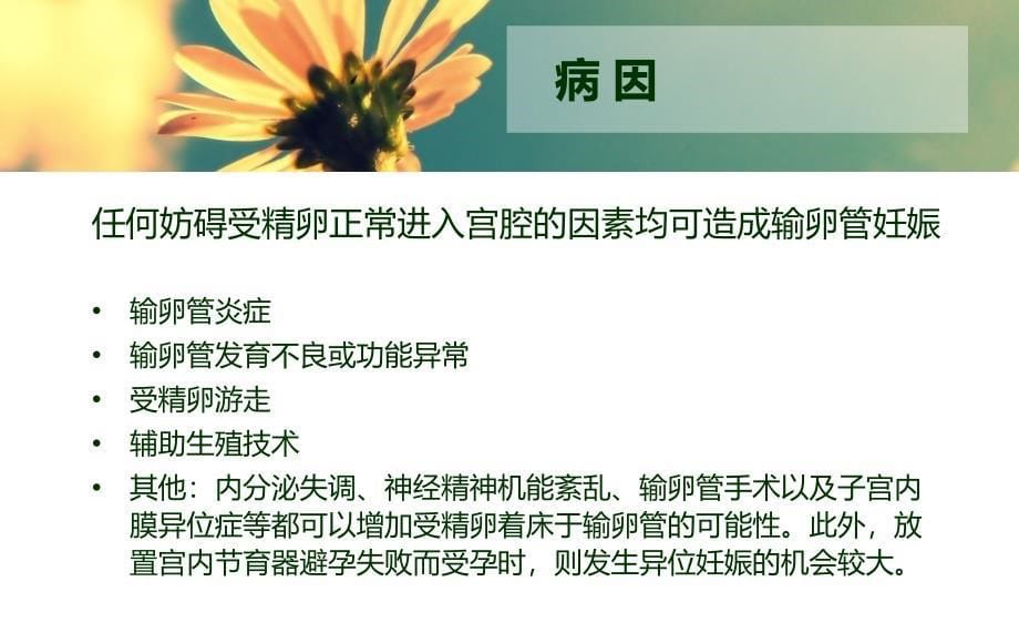 异位妊娠护理查房59377_第5页