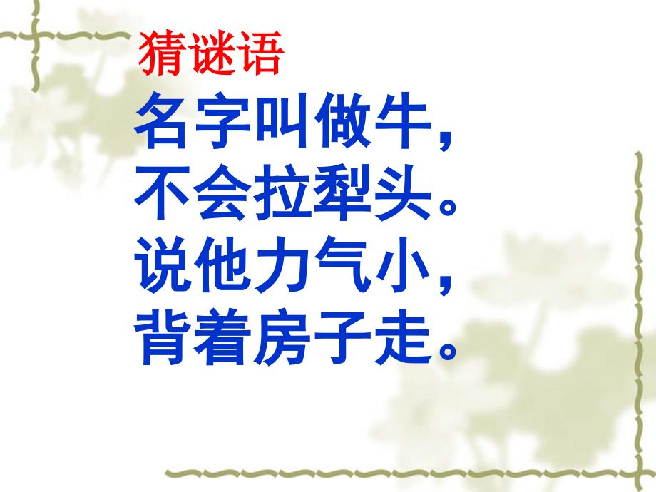 观察蜗牛2_第1页