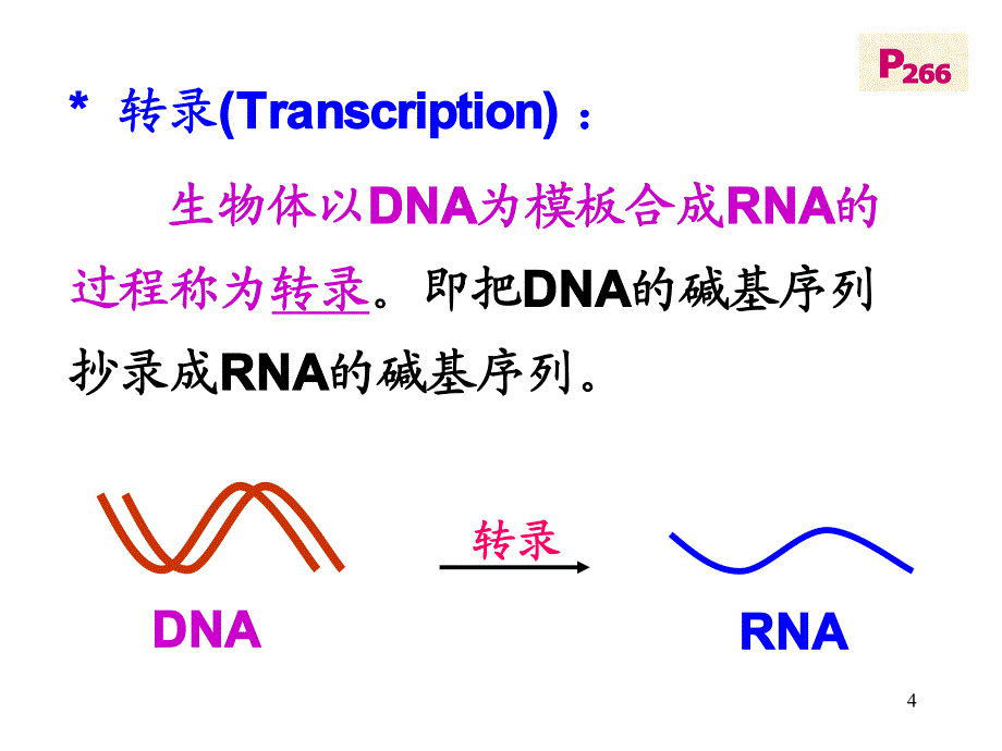 蚌埠医学院生物化学课件_第4页