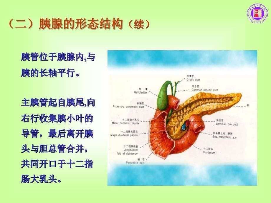 急性胰腺炎的护理 急性胰腺炎_第5页