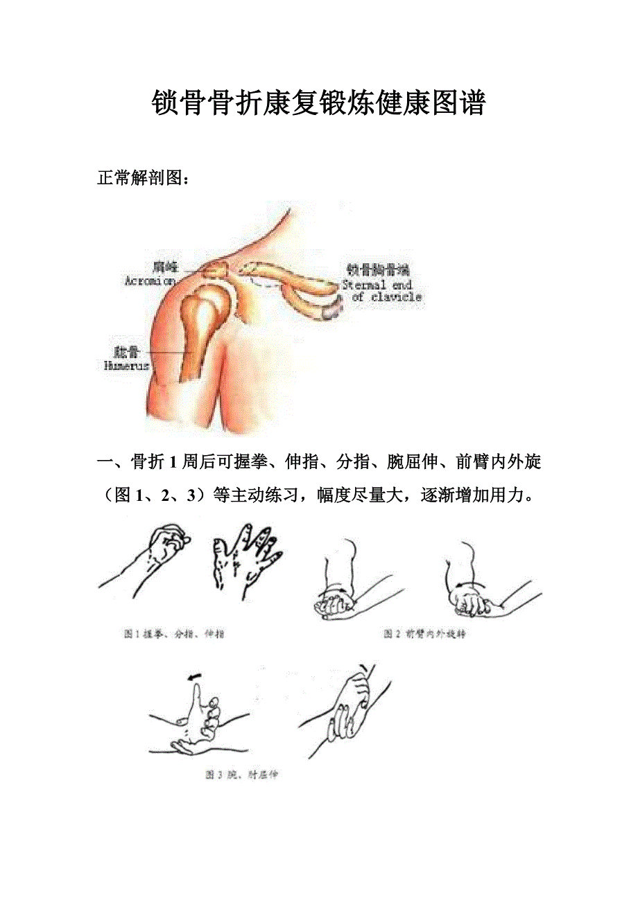 锁骨骨折康复锻炼健康图谱_第1页