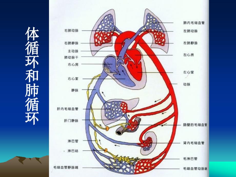 冠脉搭桥技术_第2页