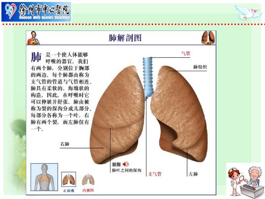 肺全切护理课件完整75181_第4页