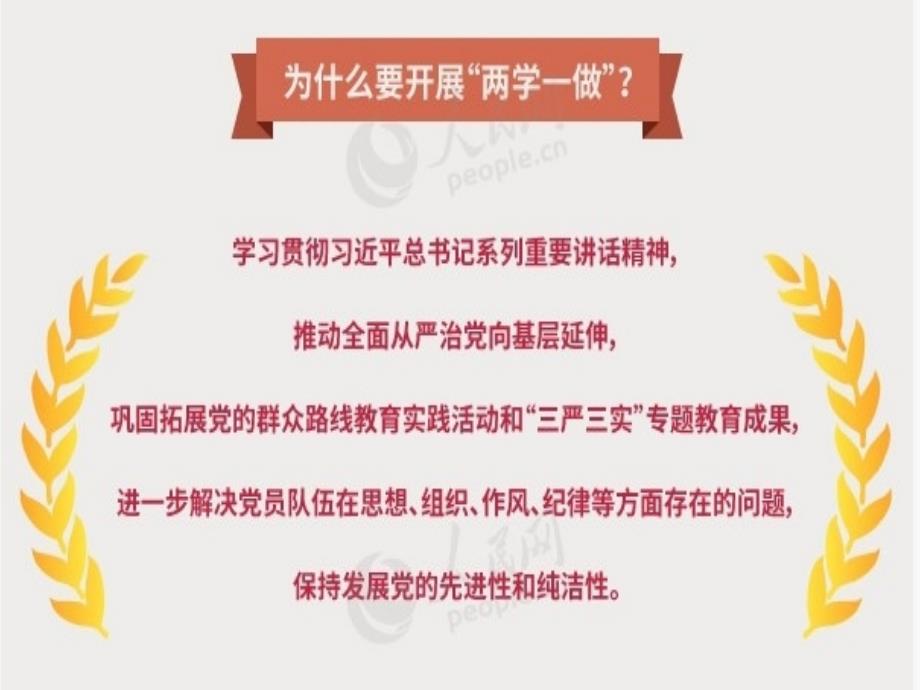 最新两学一做学习专题党课_军事政治_人文社科_专业资料_第4页