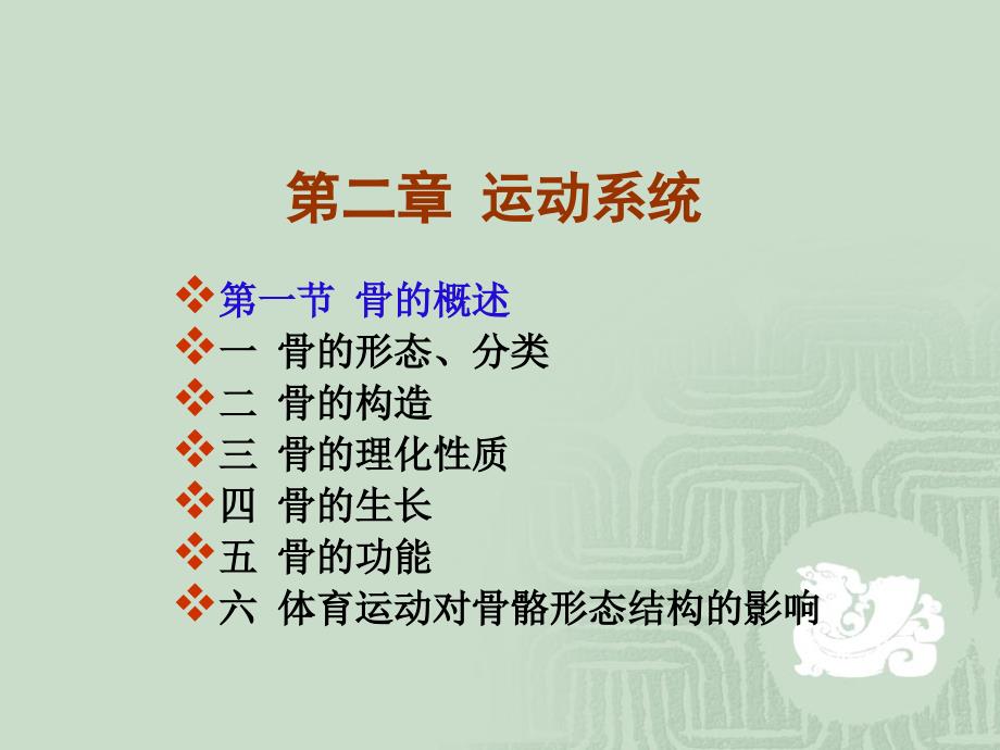 骨概述_第1页
