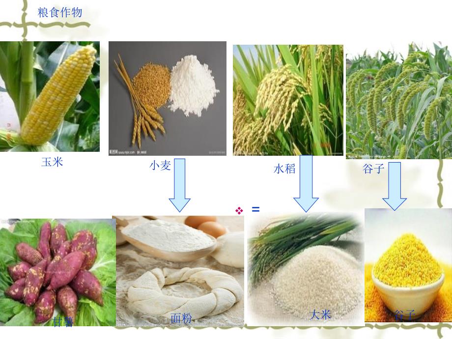 品德与社会五年级上 1.粒粒皆辛苦(全)精品课件_第4页