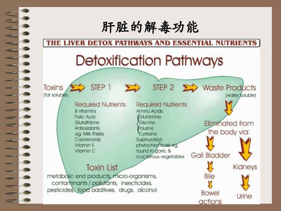 常见肝病的诊治_第4页