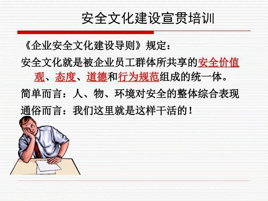 安全文化建设示范企业培训课件_第5页