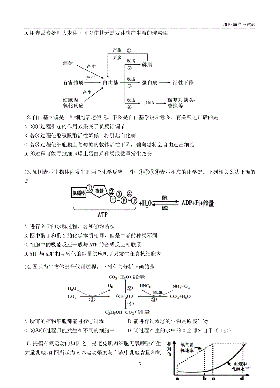 湖北“荆、荆、襄、宜四地七校考试联盟”2019届高三上学期10月联考生物试题及答案_第3页