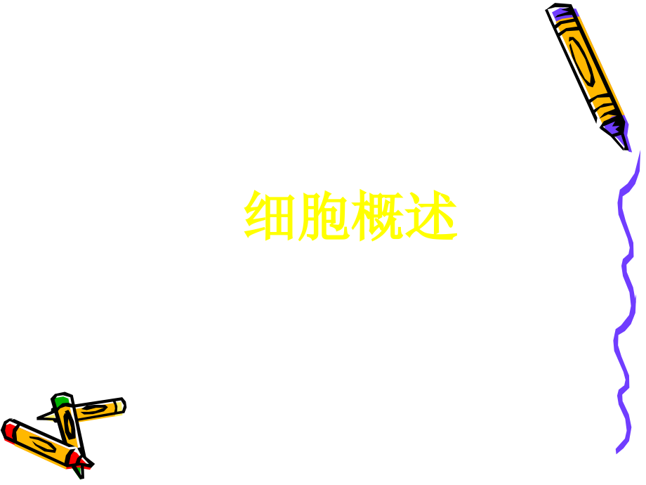 高中生物中图版必修一课件_第1页