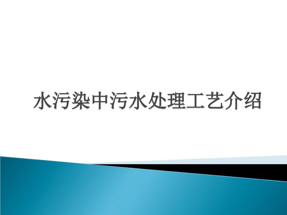 水处理中的污水处理工艺_第1页