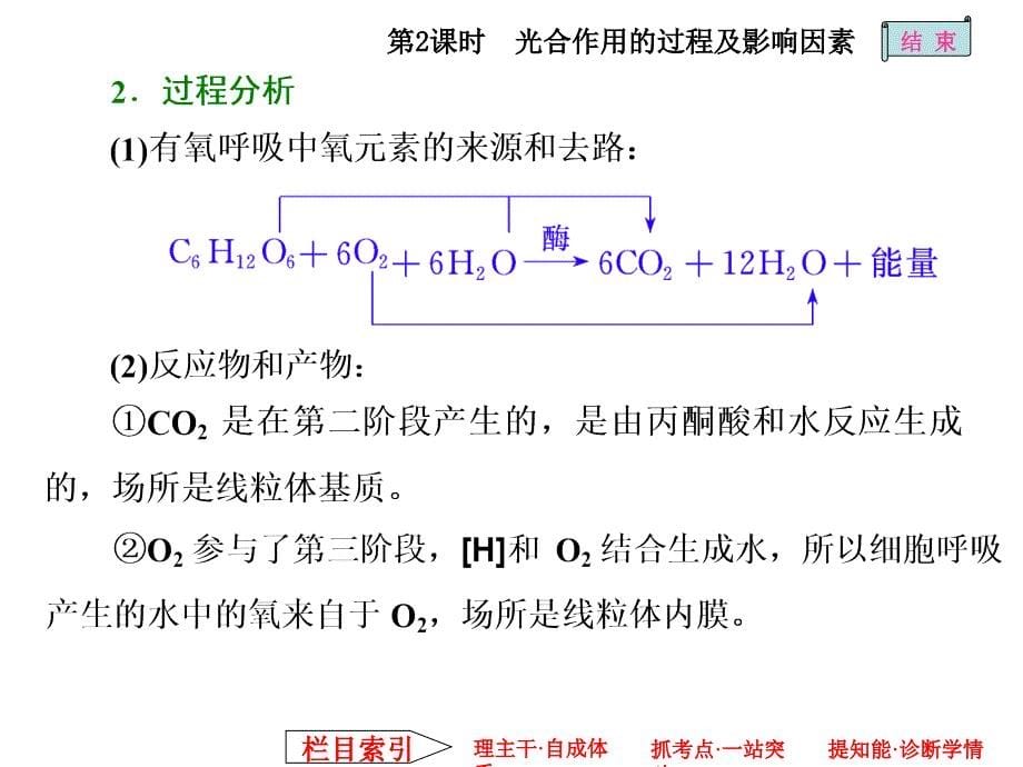 呼吸作用与光合作用的过程及影响因素_第5页