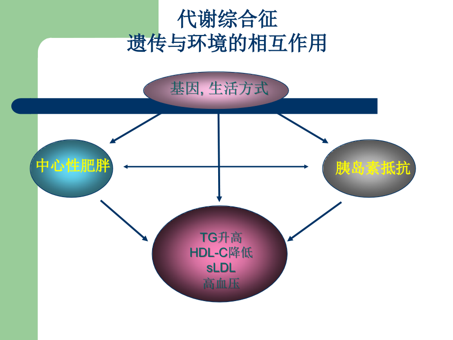 老年代谢综合征ppt医学课件_第4页